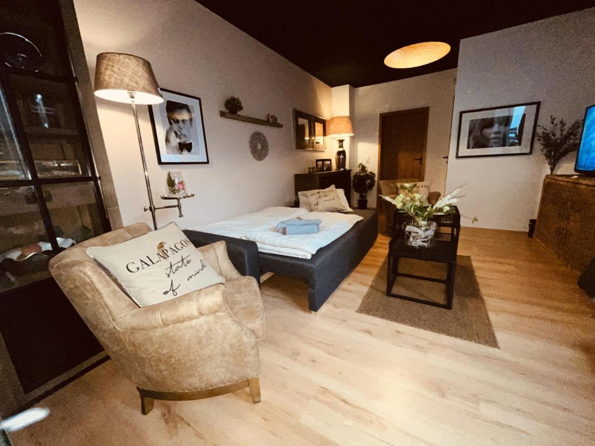 Apartament "The One" Heidelberg Zewnętrze zdjęcie